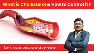 What is Cholesterol amp How to Control it [upl. by Desberg513]