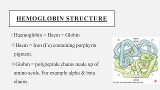 HEMOGLOBINStructure Synthesis and Function [upl. by Redmond]