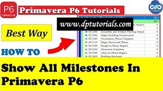 Best Way To Show All Your Milestones In Primavera P6  Easy To Focus Milestones In Schedule [upl. by Notneuq]