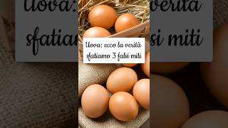 TUTTA la VERITÀ sulle UOVA🥚 SFATIAMO 3 FALSI MITI short [upl. by Landbert]