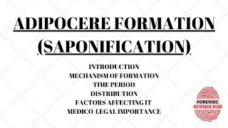 Adipocere formation  Saponification  Forensic medicine  UGC NET Forensic science notes [upl. by Daniels]