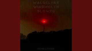 Walgelijke Windmolen Slowed [upl. by Ysak]