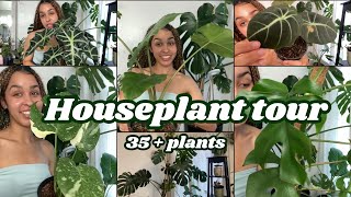 Houseplant tour 2024 35 plants Rare amp Common species [upl. by Gainor]