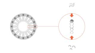 What is a micelle [upl. by Bilat]