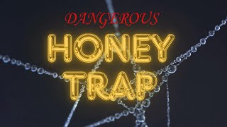 HONEY TRAP PART I honeytrapcase law trap trendinglatest [upl. by Francklin]