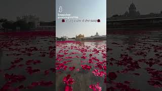 dhangururamdasji amritsar golden shabad 🥹🧿🙏🏻💗💕 [upl. by Ahsieken]