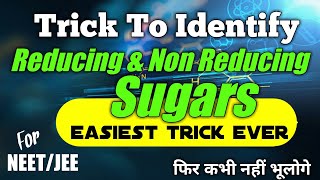 Trick To Learn Reducing And Non Reducing Sugars  Biomolecules neet  Chemistry Tricks mdcat [upl. by Eudocia]