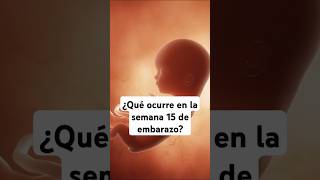 🤔 ¿Qué ocurre en la semana 15 de embarazo 🤰 Síntomas y desarrollo del bebé [upl. by Annaej174]