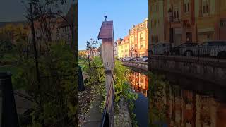 Wissembourg france walking tour [upl. by Aisiat]