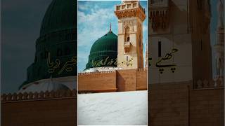 Zamino Zama Tumhare Liye shorts madina zaminozamatumhareliye [upl. by Drofniw]