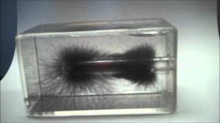 Magnetic Field lines 3D [upl. by Beaver]