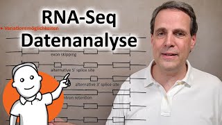 Genexpression untersuchen mit RNASeq [upl. by Neerhtak]