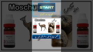 Moschus 200 drnaumanahmad homeopathy shorts viral [upl. by Razaele]