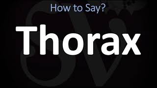 How to Pronounce Thorax CORRECTLY [upl. by Liauqram949]