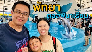 พัทยาดอลฟินาเรียม Pattaya Dolphinarium นะโม แฮปปี้แฟมิลี่ Namo PPW [upl. by Rramed]