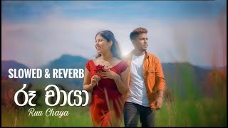 Ruu Chaya  රූ චායා Slowed amp reverb slowed feel reverb [upl. by Ardra]