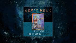 Govt Mule  Love Is A Mean Old World Visualizer Video [upl. by Melisandra365]