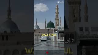 What a lines 💯❤💚ytshorts youtubeshorts allah shortvideo growmychannel viral [upl. by Marigolda]