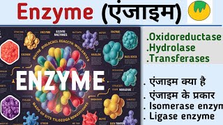 EnzymeएंजाइमEnzyme biochemistryenzyme in hindiOxidoreductaseHydrolasetransferaseKiran maurya [upl. by Ahsinaj]