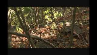 Cerro Blanco Bosque Protector parte 1 [upl. by Mulford]