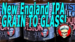 Sensational NEIPA Journey From Grain to Glass with BrewZilla and Robobrew Brewing Brilliance [upl. by Ecirahc450]