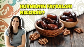 Kırmızı Lahana Turşusu  Turşu Tarifi  Nefis Yemek Tarifleri [upl. by Cristy]