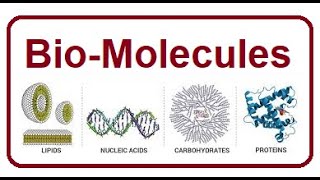 Bio Macromolecules Composition and Organization [upl. by Bollinger]