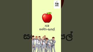 Learn Fruits in korean😊😋පලතුරු කොරියන් භාශාවෙන් ඉගෙන ගන්න koreanlanguage fruit epstopik korea [upl. by Derfniw]