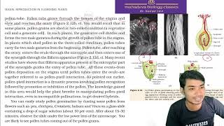 pollen pistil interaction sexualreproductioninfloweringplantsclass12 [upl. by Nimajaneb]