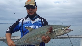 Fishing at Hervey bay Urangan Pier [upl. by Sorenson430]