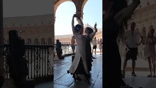 Flamenco at Plaza de España Seville [upl. by Wanfried47]