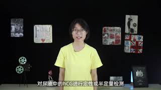 验孕棒是怎么知道你有两条杠的，我研究了一下它的原理 [upl. by Eceerahs]