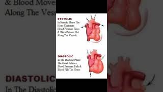 Health  Systolic and Diastolic Blood Pressure [upl. by Reinhard]