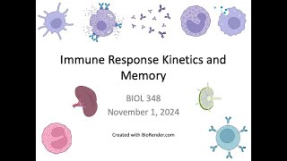 Immunology Fall 2024 Lecture 27 Kinetics and Memory [upl. by Devonne74]