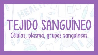 TEJIDO SANGUÍNEO  ¡Fácil explicación Histología [upl. by Lattonia]