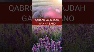 Qabron ko sajdahgah na banao spreadlightwithbarirah islamicscripture [upl. by Pelaga]