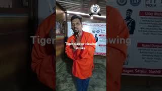 Tiger kungfu learning series7 tiger slapping stroke with master Rajuram jaiswal [upl. by Delos582]