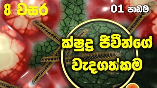 Grade 8 Science Unit 1  Importance of Micro Organisms  ක්ෂුද්‍ර ජීවීන්ගේ වැදගත්කම [upl. by Tabshey568]