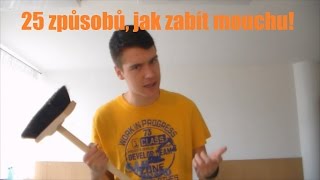 25 způsobů jak zabít letící mouchu [upl. by Sneed]