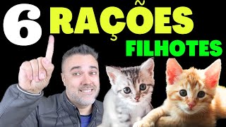 TOP 6 melhores rações GATOS FILHOTES [upl. by Abell]