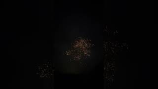 ZoSO 245s Firework [upl. by Averil]