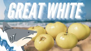 Tomato Tasting Great White Adv46 [upl. by Cordle661]