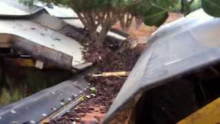 The Australian Carob Co Harvesting Carobs [upl. by Lennej]