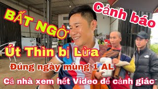 Bất ngờ út Thìn bị lừa đúng ngày mùng 1AL cả nhà xem hết video để cảnh giác [upl. by Ecerehs859]