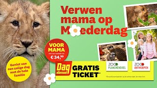 Dag Allemaal  Dierentuin Ultra HD 4K Official TV Commercial [upl. by Eilime]