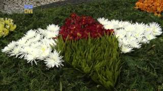 Madeira Flower Festivities April 2016 [upl. by Post802]