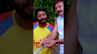 Watch 👆 Sarkar Dada Movie Scenes jayaram navyanair salimkumar jagadish comedy shorts [upl. by Gaudet]