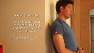 Benji Physio  Neck self massage on trigger points with a tennis ball [upl. by Rehtul]