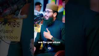 Asif Huzoor ar mahfill shopol hok subscribe please [upl. by Benedicta]