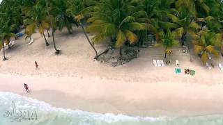 Abanico Beach at Saona Island Dominican Republic [upl. by Neural954]